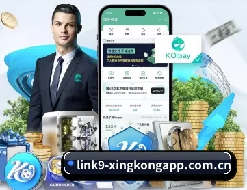 星空体育入口 APP 深度功能