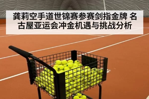 龚莉空手道世锦赛参赛剑指金牌 名古屋亚运会冲金机遇与挑战分析